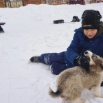 Игровой автомат The Dog House Megaways с собаками на экране