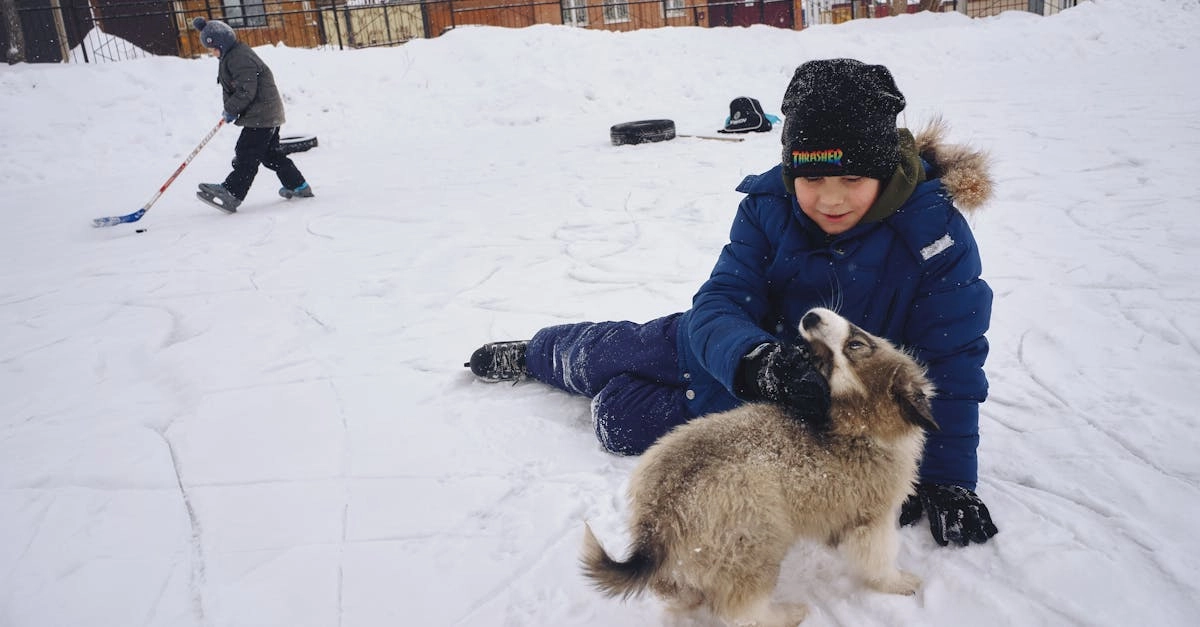 Игровой автомат The Dog House Megaways с собаками на экране