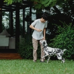 Слот игра The Dog House с собачьей тематикой и стандартным интерфейсом