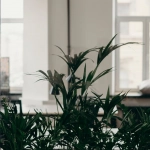 Немецкие игорные сайты онлайн - обзор особенностей