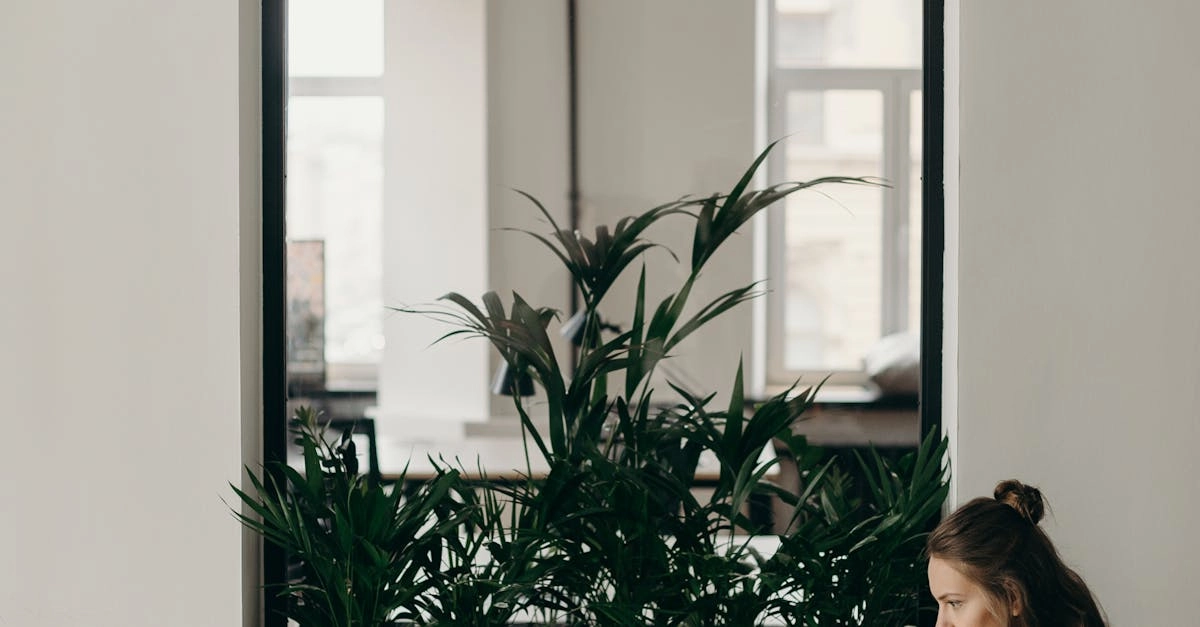 Немецкие игорные сайты онлайн - обзор особенностей